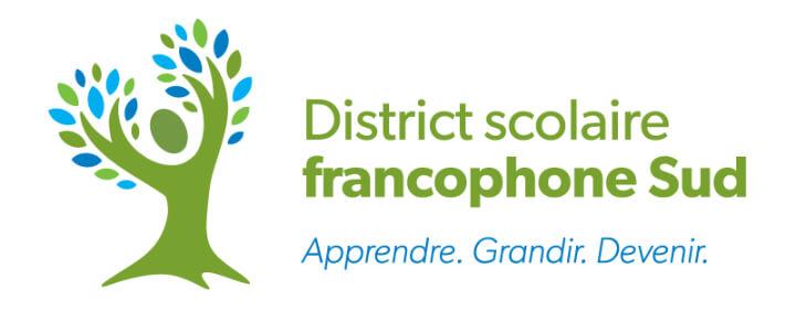 dsfs logo couleur