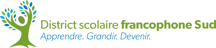 logo couleur dsfs 2x